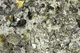 Quartz and Pyrite Crystal Cluster - Peru #271530-1